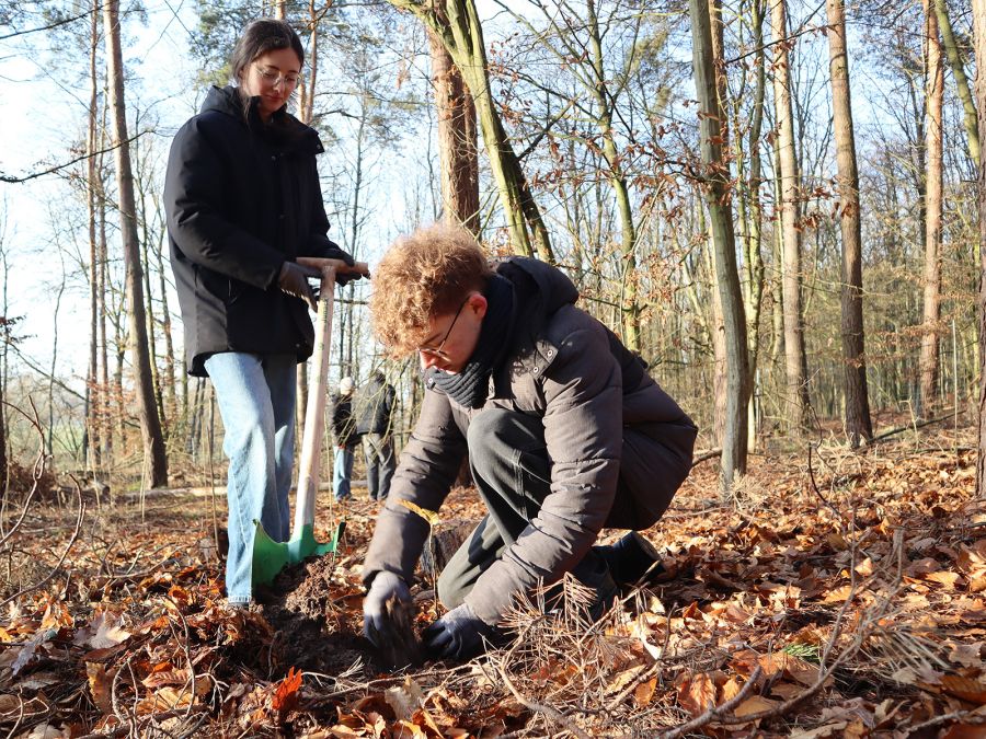 Schüler und Schülerin im Wald beim Bäumepflanzen