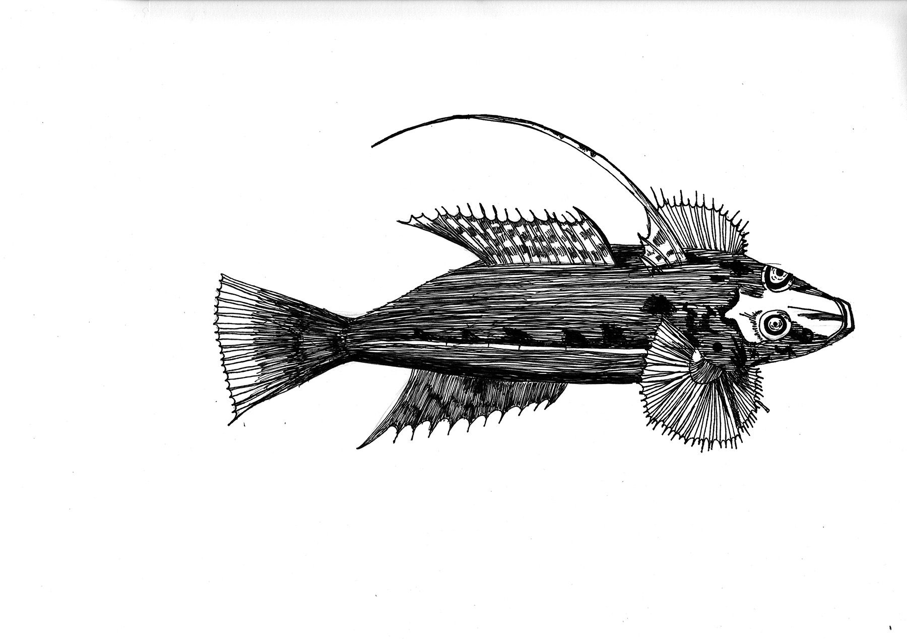 Prähistorischer Fisch